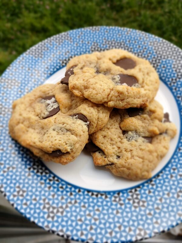 Cookie Végétal Yaourt
