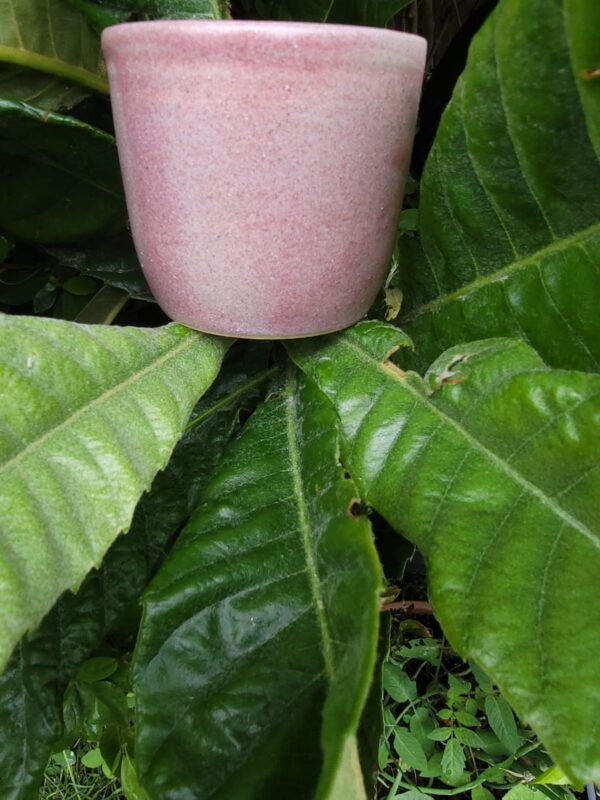 Rituel Matinal Artivegan expresso rose