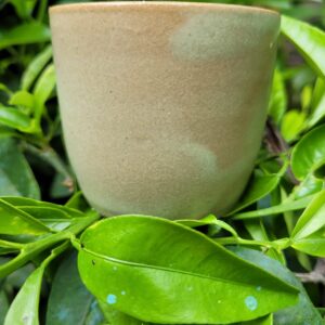 tasse expresso vert sauge