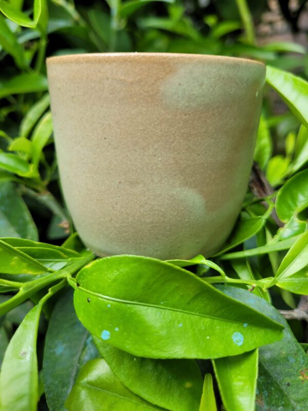 tasse expresso vert sauge