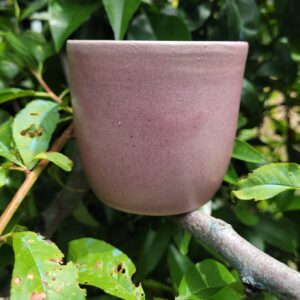 Notre bol à thé rose
